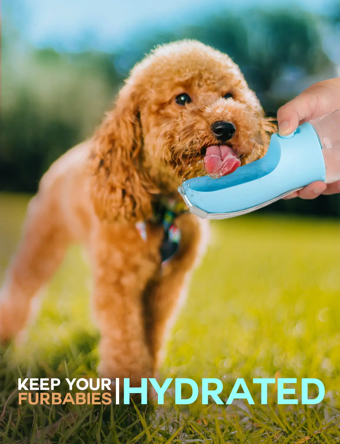 3-in-1 BPA-Free Pet Water Bottle - 20 oz Spill-Proof Design with Built-In Filtration, Food Storage, and Poop Bag Holder for Convenient Travel and Hiking Use