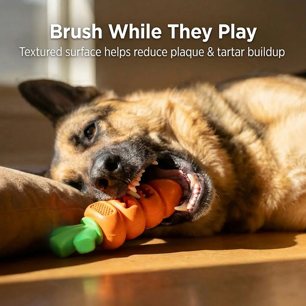 Apasiri Durable Carrot Leaf Design Dog Toys for Aggressive Chewers, Promoting Dental Health and Cognitive Engagement