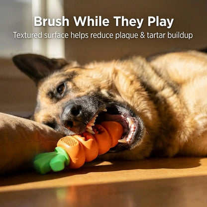 Apasiri Durable Carrot Leaf Design Dog Toys for Aggressive Chewers, Promoting Dental Health and Cognitive Engagement